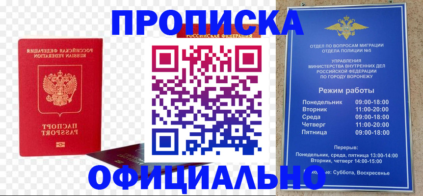 прописка иностранных граждан в Чегеме